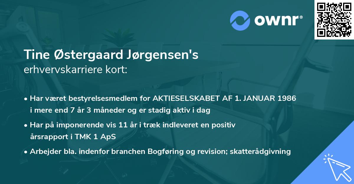 Tine Østergaard Jørgensen's erhvervskarriere kort