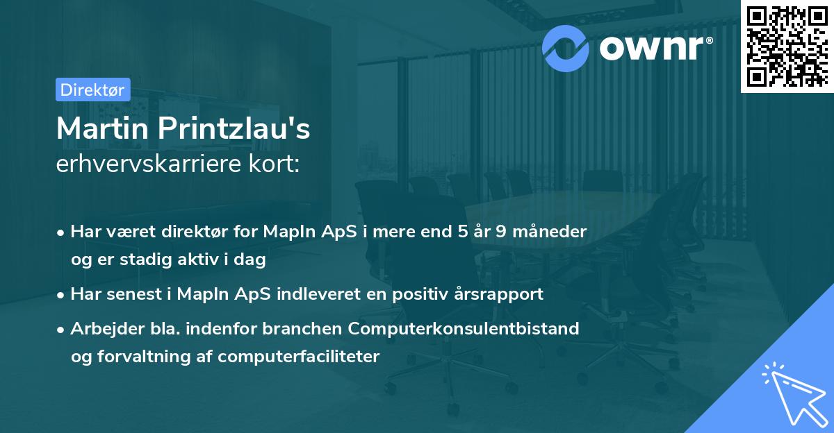 Martin Printzlau's erhvervskarriere kort