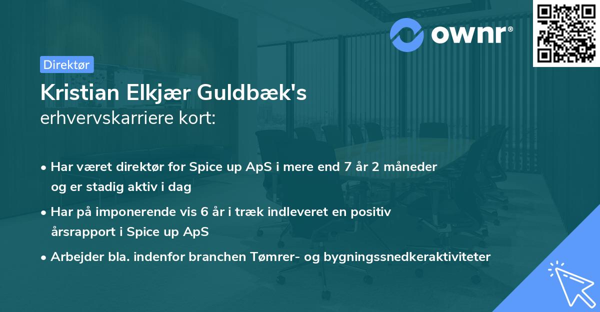 Kristian Elkjær Guldbæk's erhvervskarriere kort