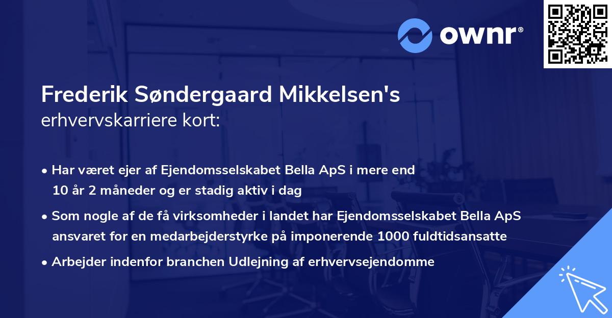 Frederik Søndergaard Mikkelsen's erhvervskarriere kort