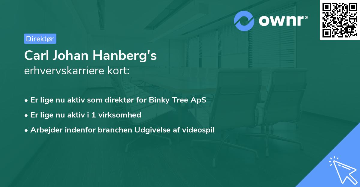 Carl Johan Hanberg's erhvervskarriere kort