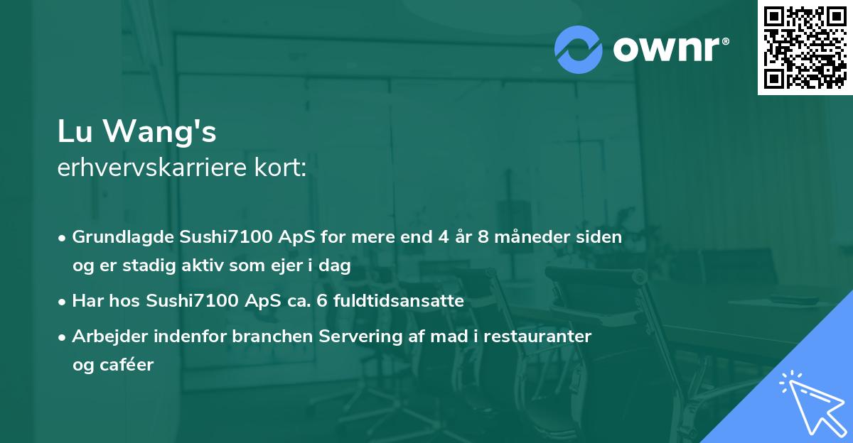 Lu Wang's erhvervskarriere kort