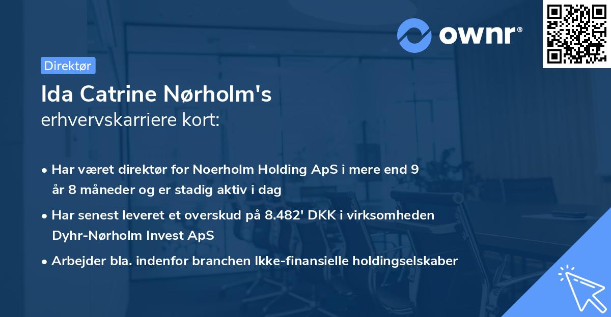 Ida Catrine Nørholm's erhvervskarriere kort