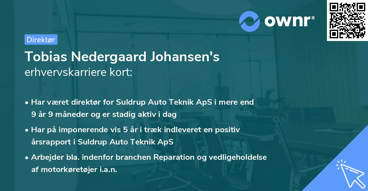Tobias Nedergaard Johansen's erhvervskarriere kort