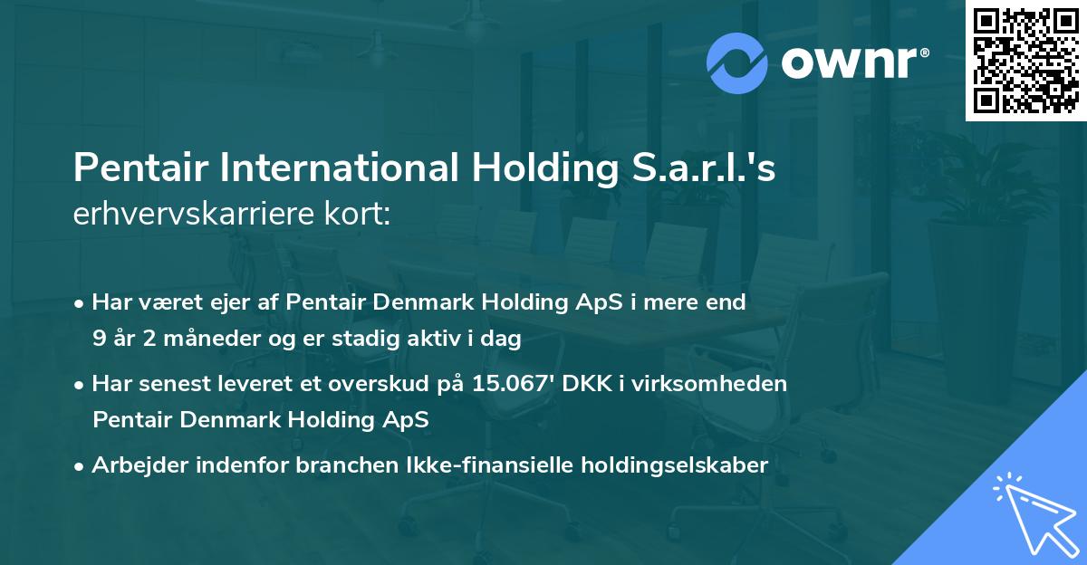 Pentair International Holding S.a.r.l.'s erhvervskarriere kort