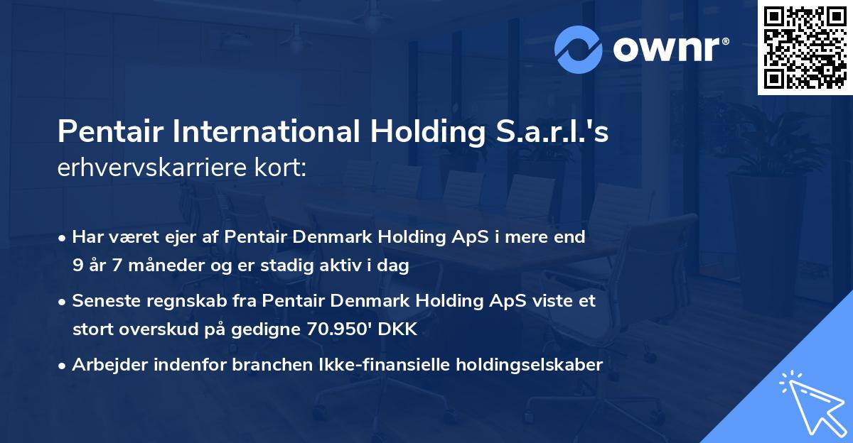 Pentair International Holding S.a.r.l.'s erhvervskarriere kort