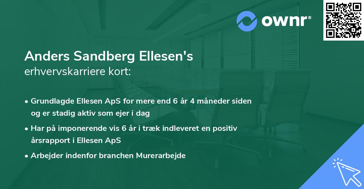 Anders Sandberg Ellesen's erhvervskarriere kort