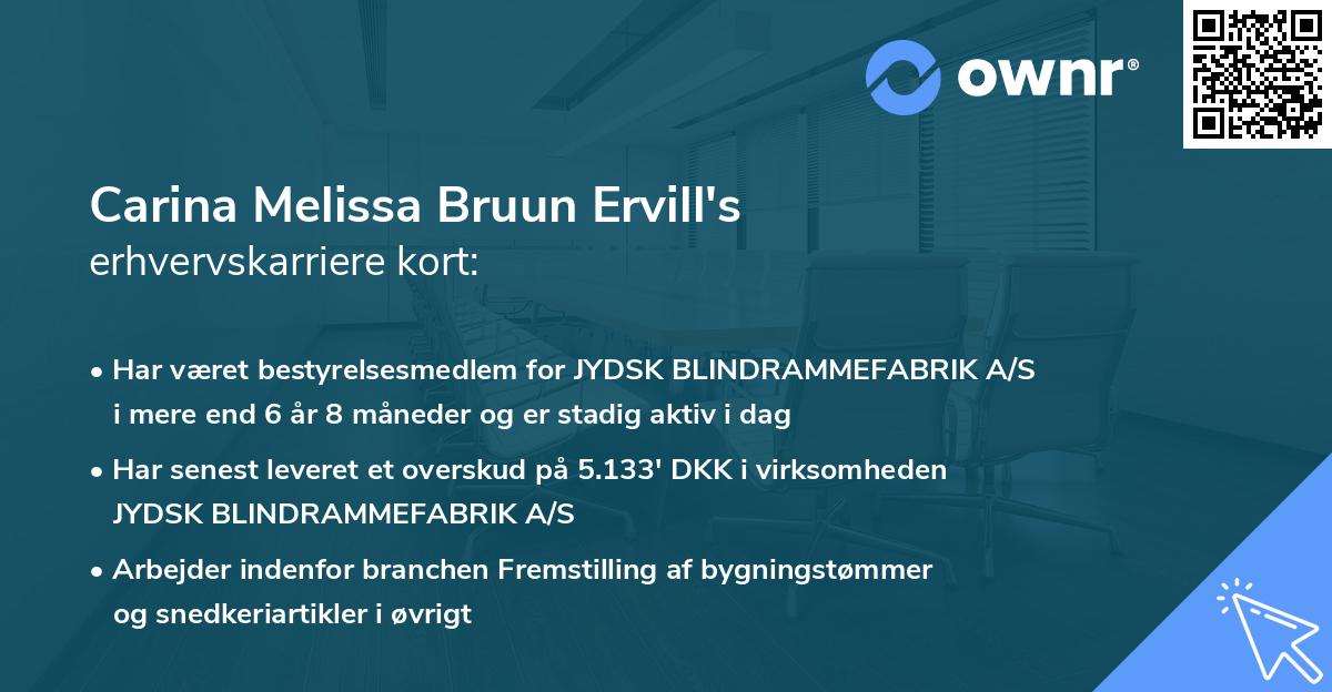 Carina Melissa Bruun Ervill's erhvervskarriere kort