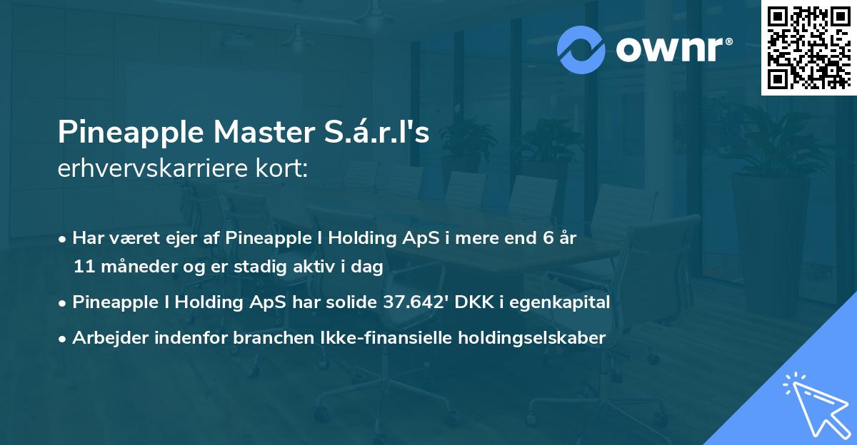 Pineapple Master S.á.r.l's erhvervskarriere kort