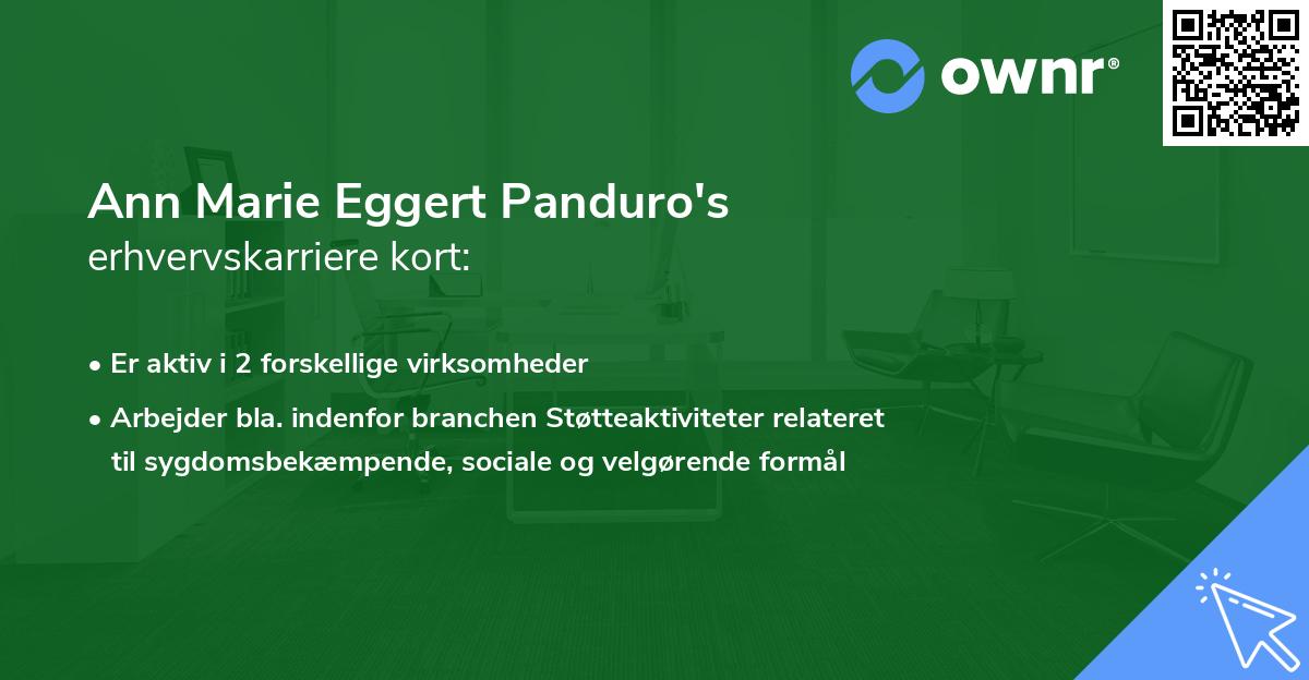 Ann Marie Eggert Panduro's erhvervskarriere kort