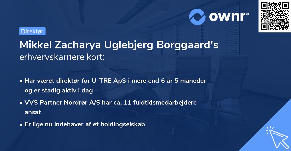 Mikkel Zacharya Uglebjerg Borggaard's erhvervskarriere kort