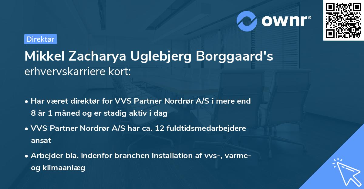 Mikkel Zacharya Uglebjerg Borggaard's erhvervskarriere kort