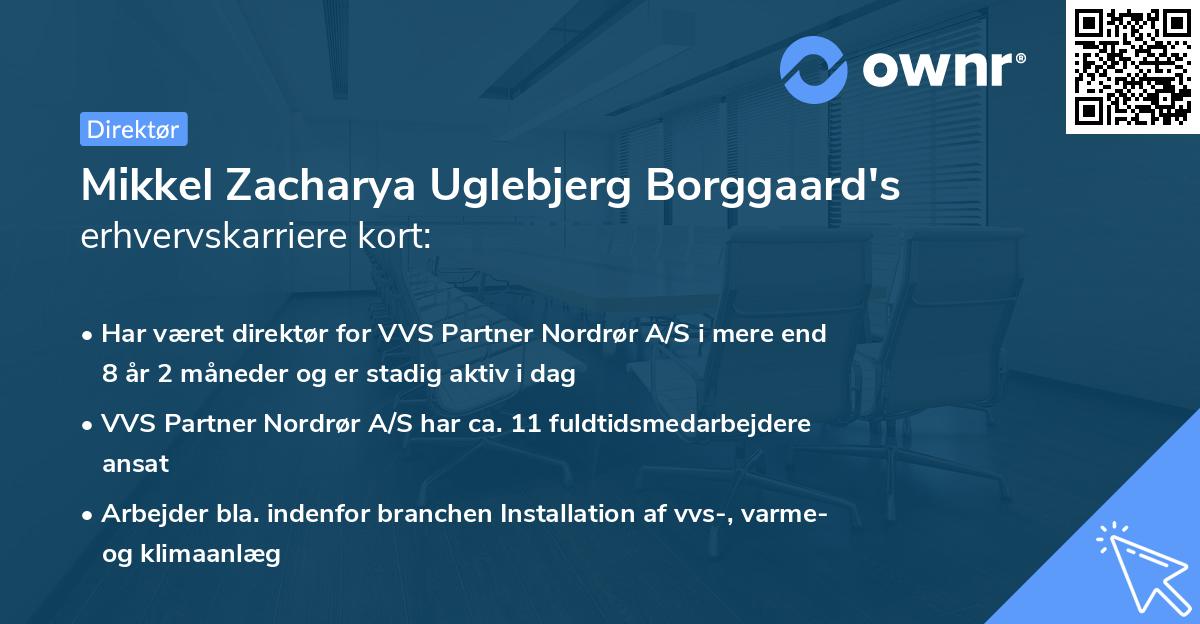 Mikkel Zacharya Uglebjerg Borggaard's erhvervskarriere kort