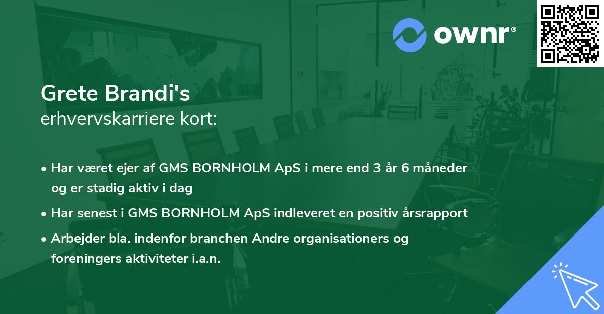 Grete Brandi's erhvervskarriere kort