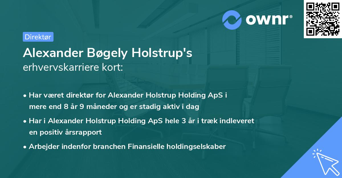 Alexander Bøgely Holstrup's erhvervskarriere kort