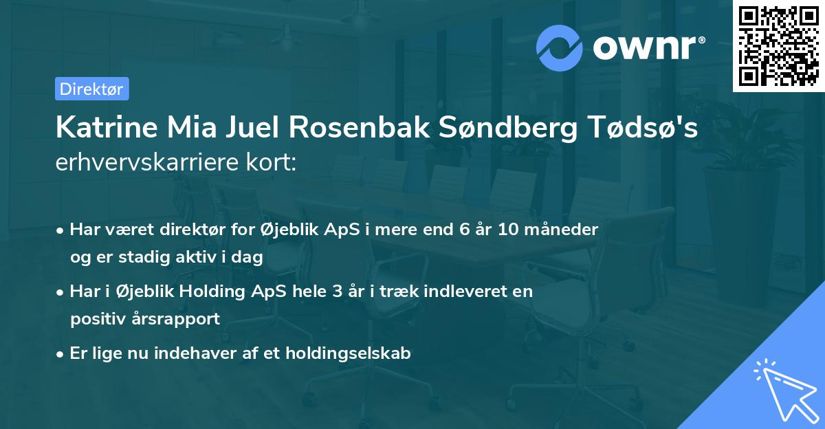 Katrine Mia Juel Rosenbak Søndberg Tødsø's erhvervskarriere kort