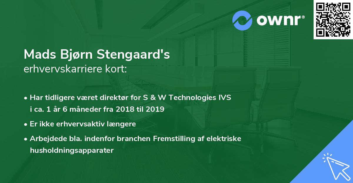 Mads Bjørn Stengaard's erhvervskarriere kort