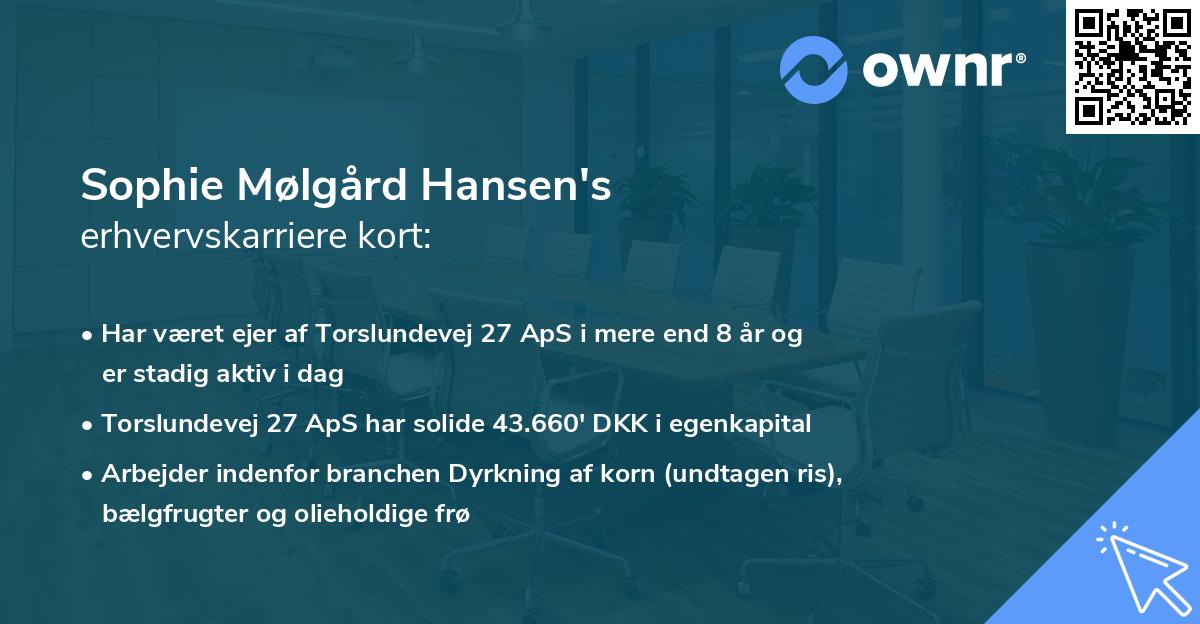 Sophie Mølgård Hansen's erhvervskarriere kort