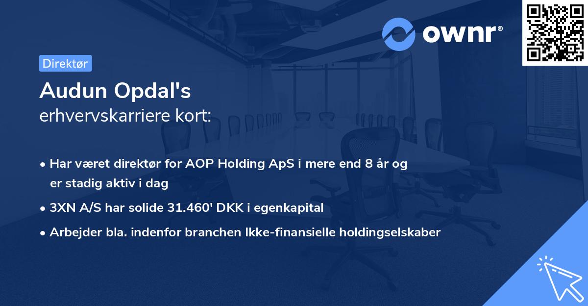 Audun Opdal's erhvervskarriere kort