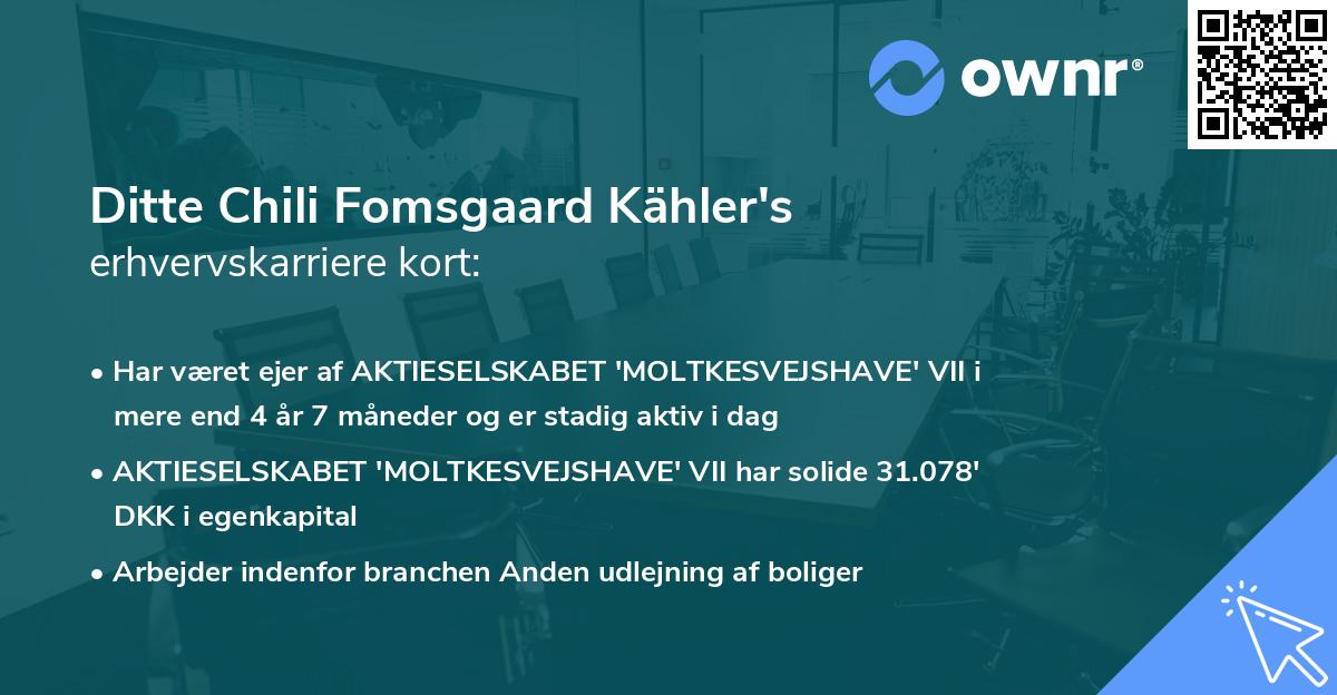 Ditte Chili Fomsgaard Kähler's erhvervskarriere kort
