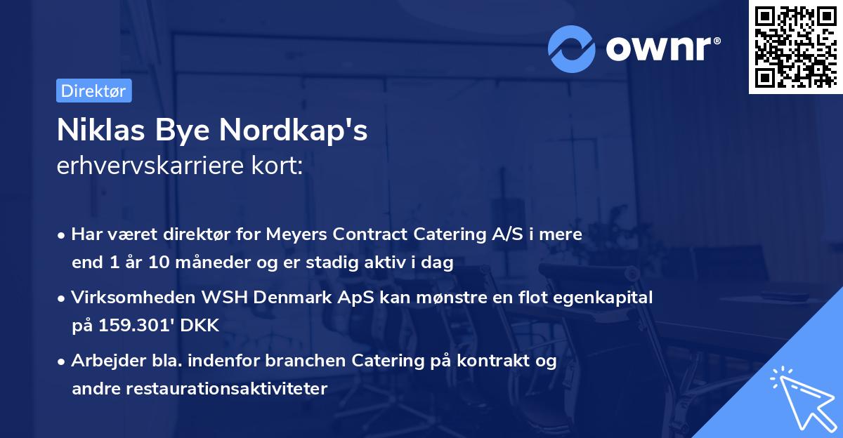 Niklas Bye Nordkap's erhvervskarriere kort