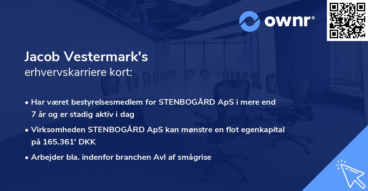 Jacob Vestermark's erhvervskarriere kort