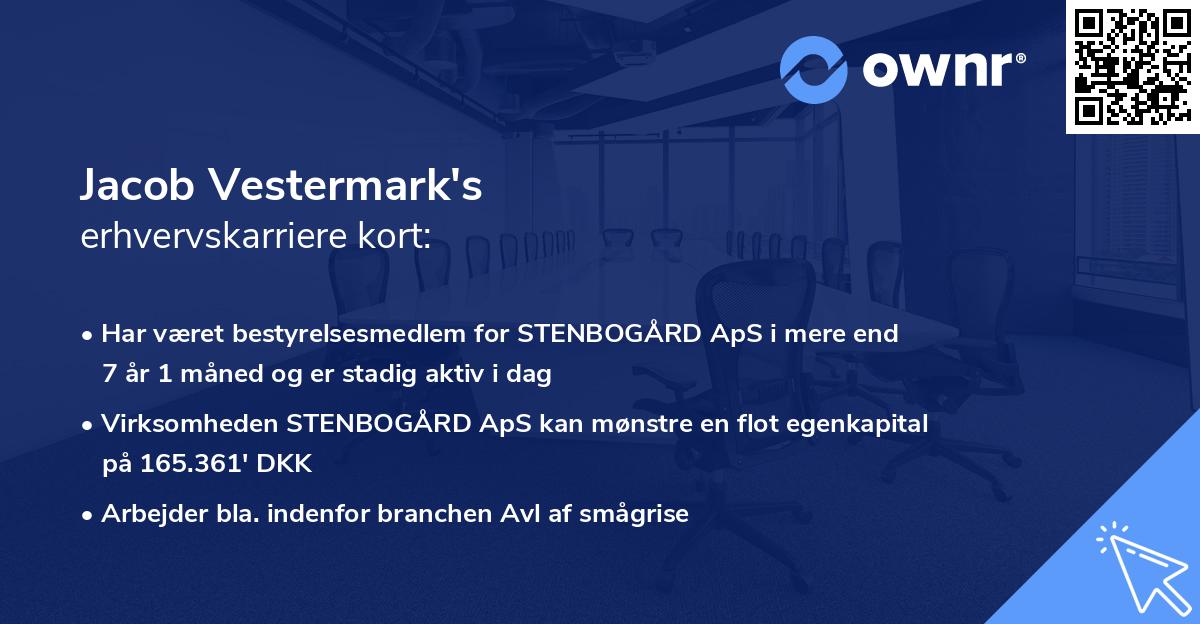 Jacob Vestermark's erhvervskarriere kort