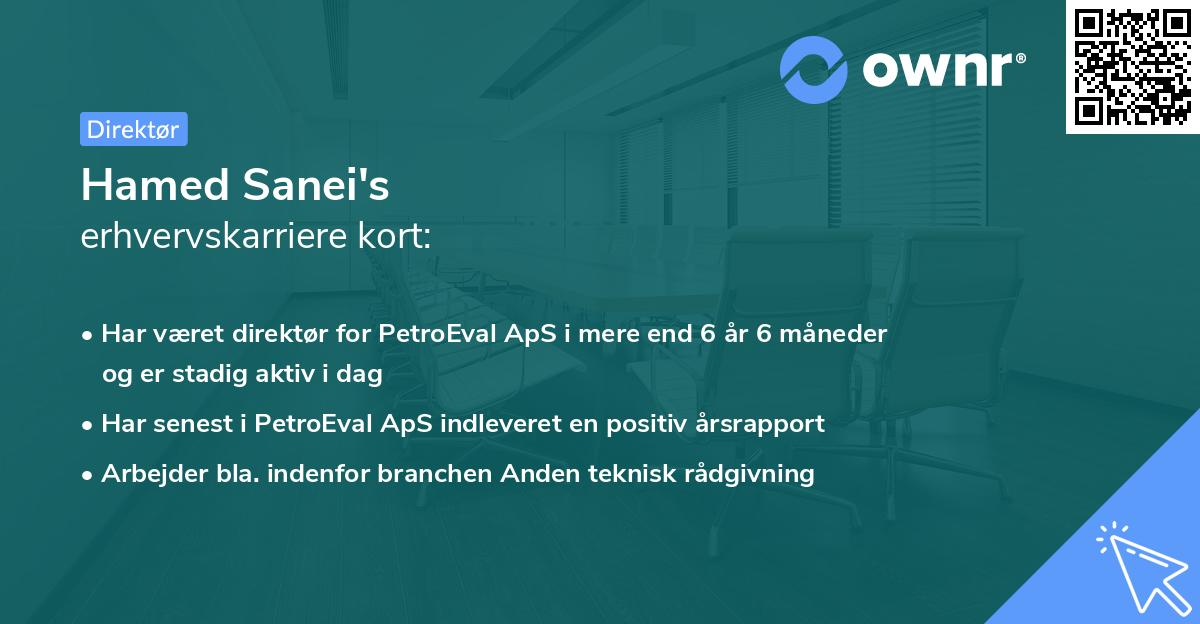 Hamed Sanei's erhvervskarriere kort