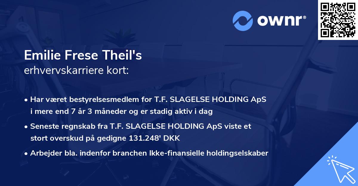 Emilie Frese Theil's erhvervskarriere kort