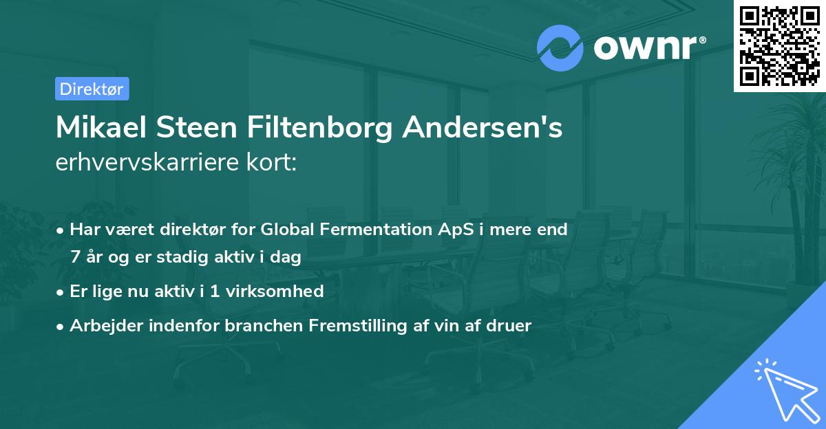 Mikael Steen Filtenborg Andersen's erhvervskarriere kort