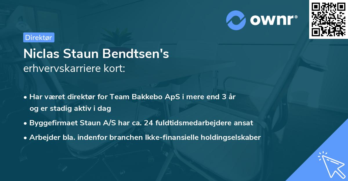 Niclas Staun Bendtsen's erhvervskarriere kort