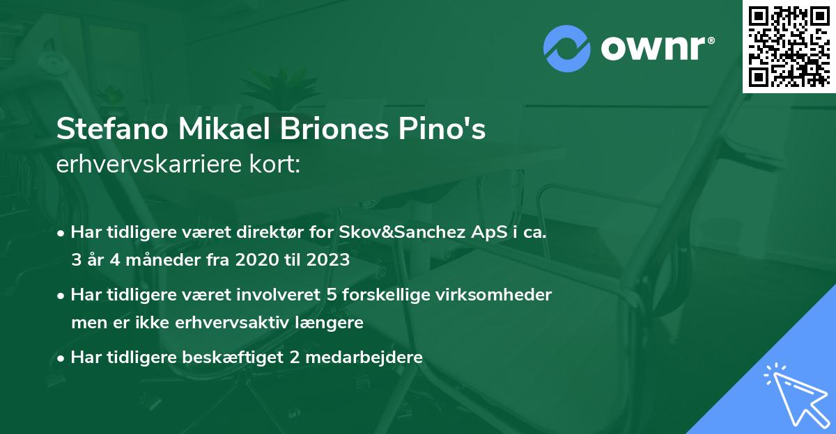 Stefano Mikael Briones Pino's erhvervskarriere kort