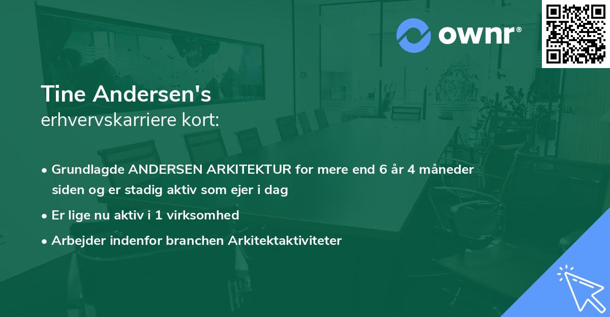 Tine Andersen's erhvervskarriere kort