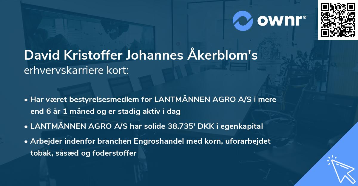 David Kristoffer Johannes Åkerblom's erhvervskarriere kort