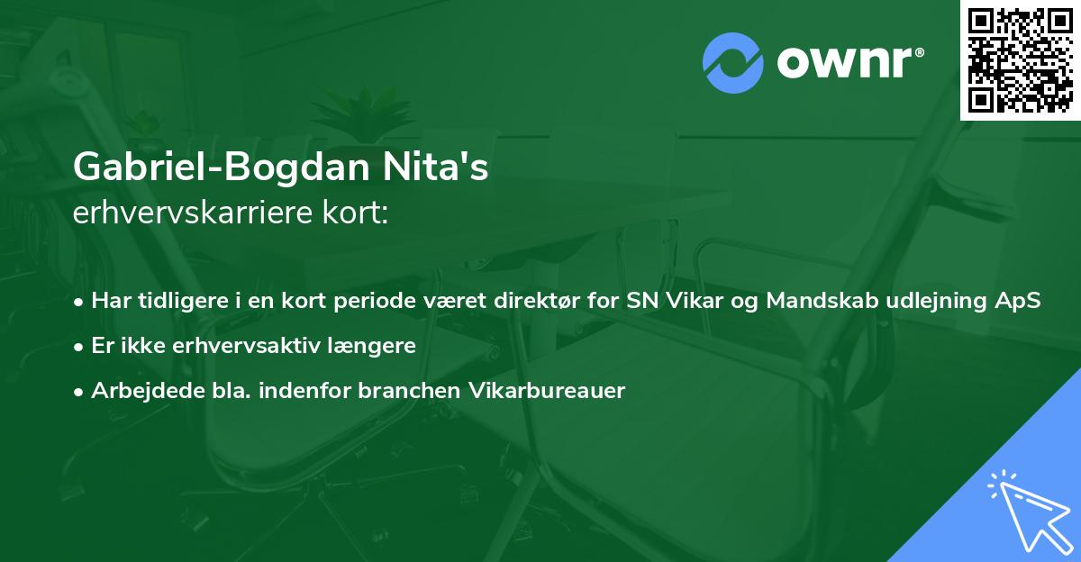 Gabriel-Bogdan Nita's erhvervskarriere kort