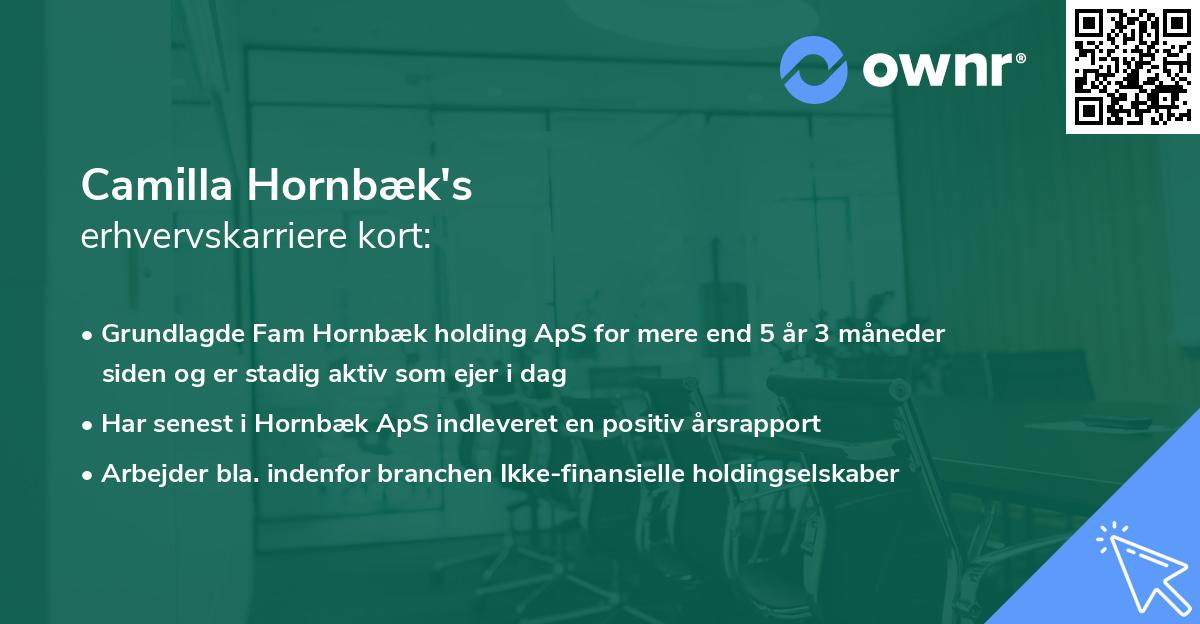 Camilla Hornbæk's erhvervskarriere kort