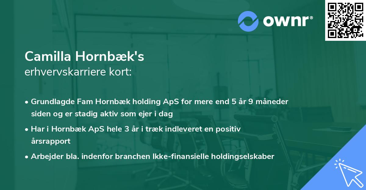 Camilla Hornbæk's erhvervskarriere kort