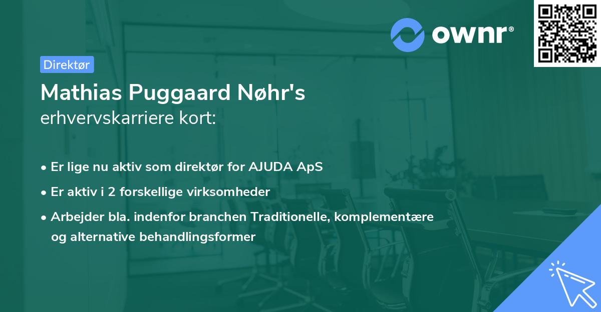 Mathias Puggaard Nøhr's erhvervskarriere kort