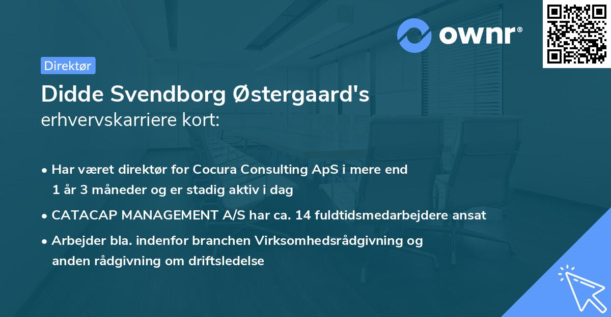 Didde Svendborg Østergaard's erhvervskarriere kort