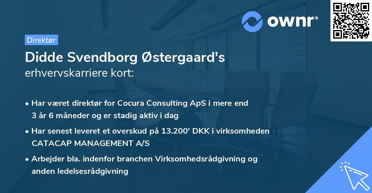 Didde Svendborg Østergaard's erhvervskarriere kort