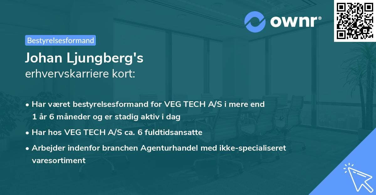 Johan Ljungberg's erhvervskarriere kort