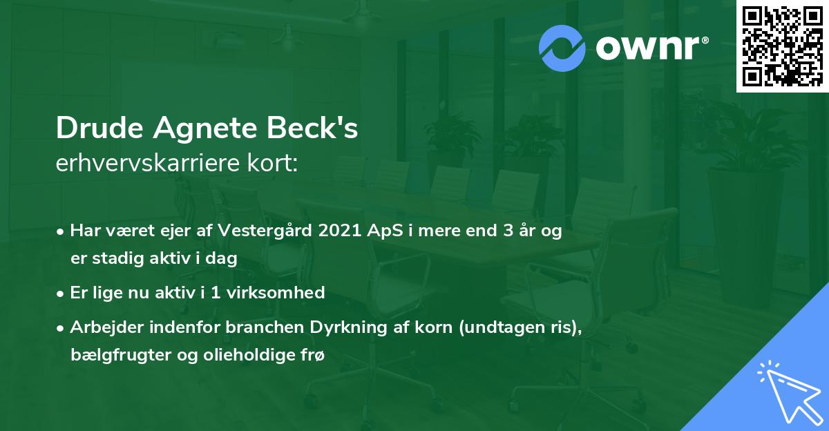 Drude Agnete Beck's erhvervskarriere kort