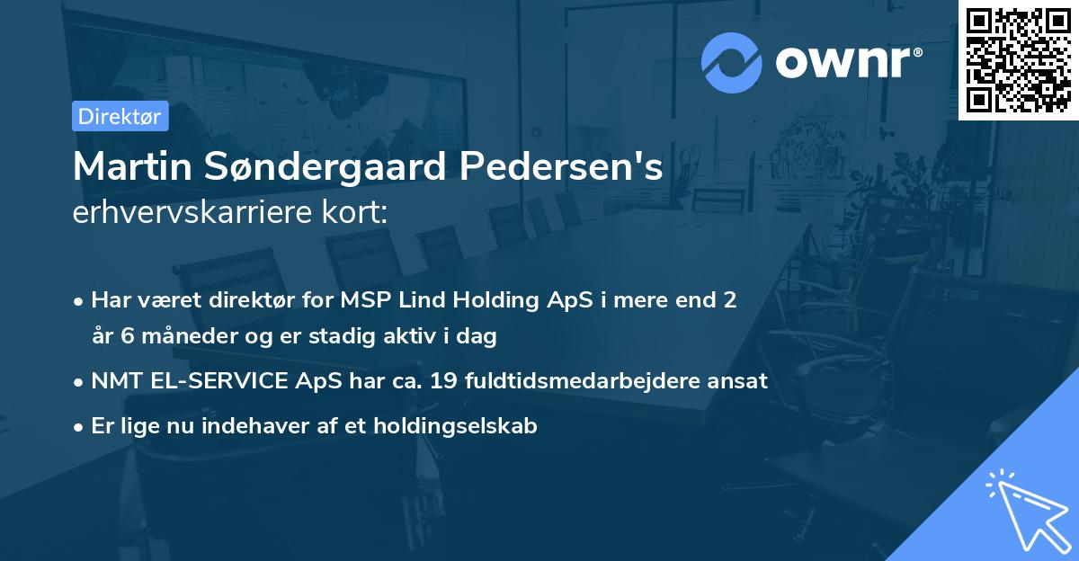 Martin Søndergaard Pedersen's erhvervskarriere kort