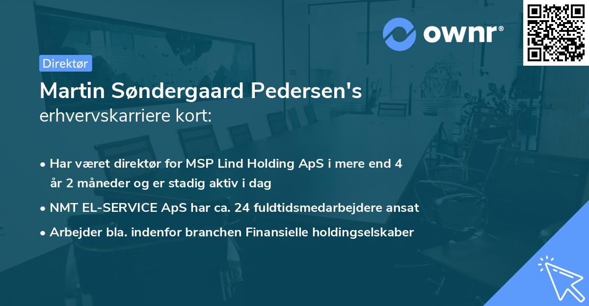 Martin Søndergaard Pedersen's erhvervskarriere kort