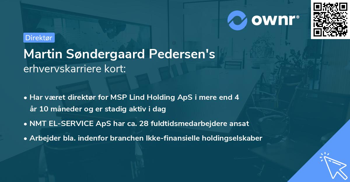 Martin Søndergaard Pedersen's erhvervskarriere kort
