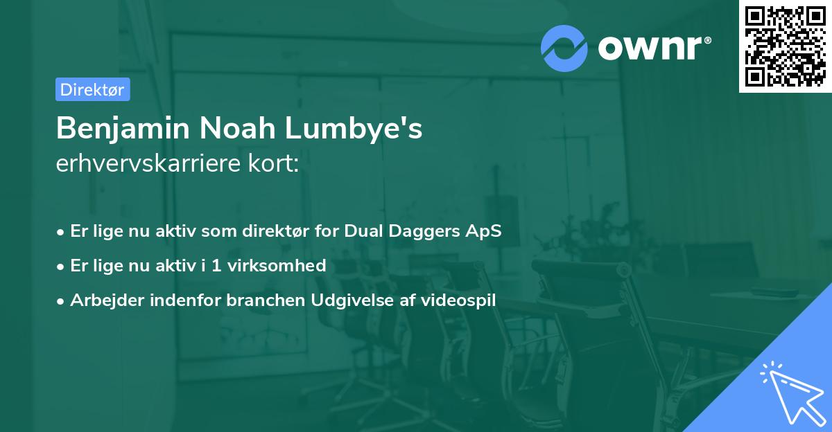 Benjamin Noah Lumbye's erhvervskarriere kort