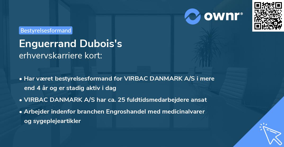 Enguerrand Dubois's erhvervskarriere kort