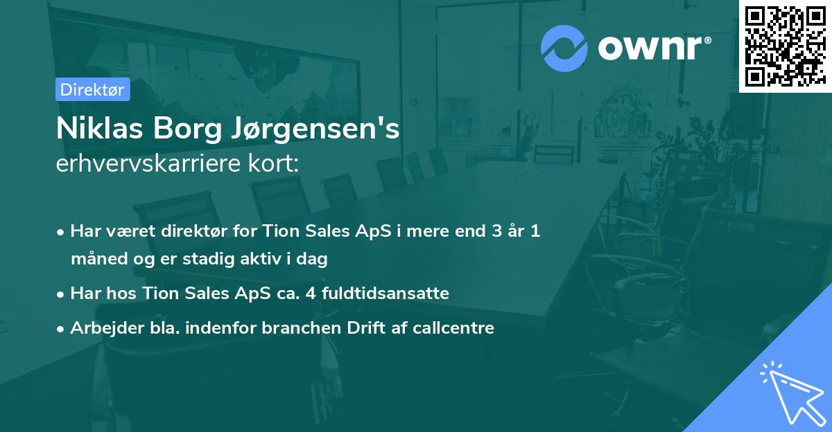 Niklas Borg Jørgensen's erhvervskarriere kort