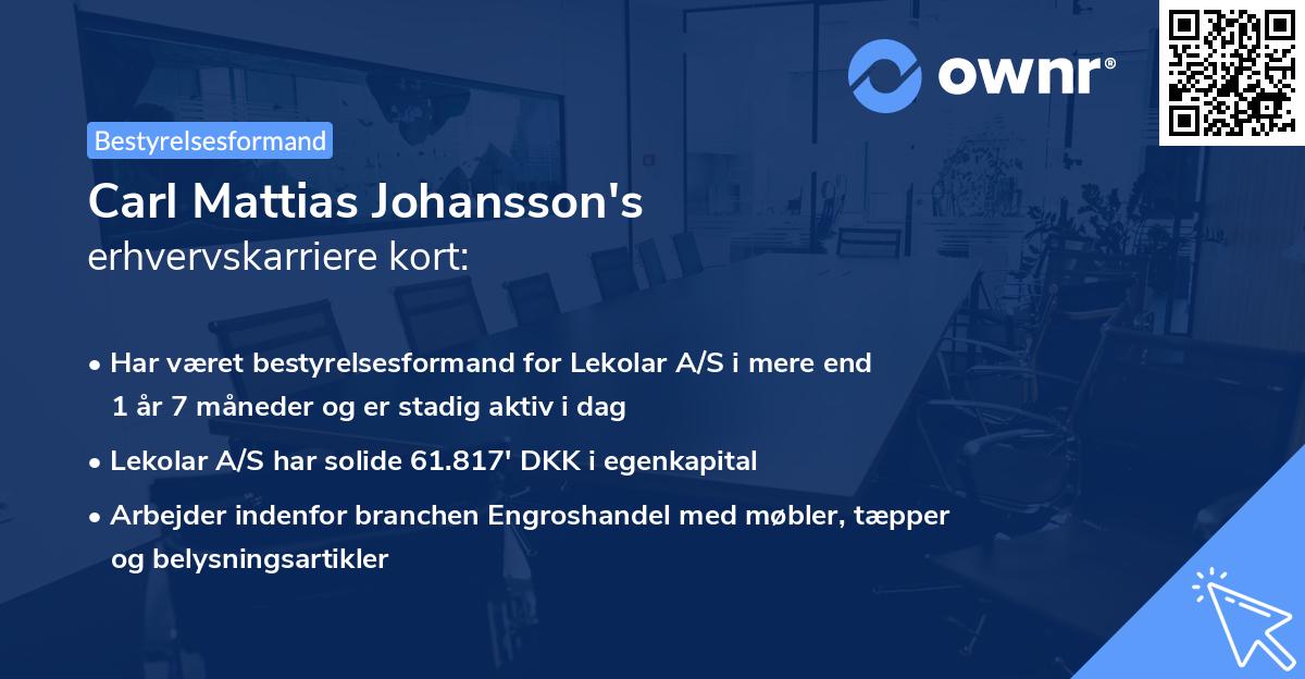 Carl Mattias Johansson's erhvervskarriere kort