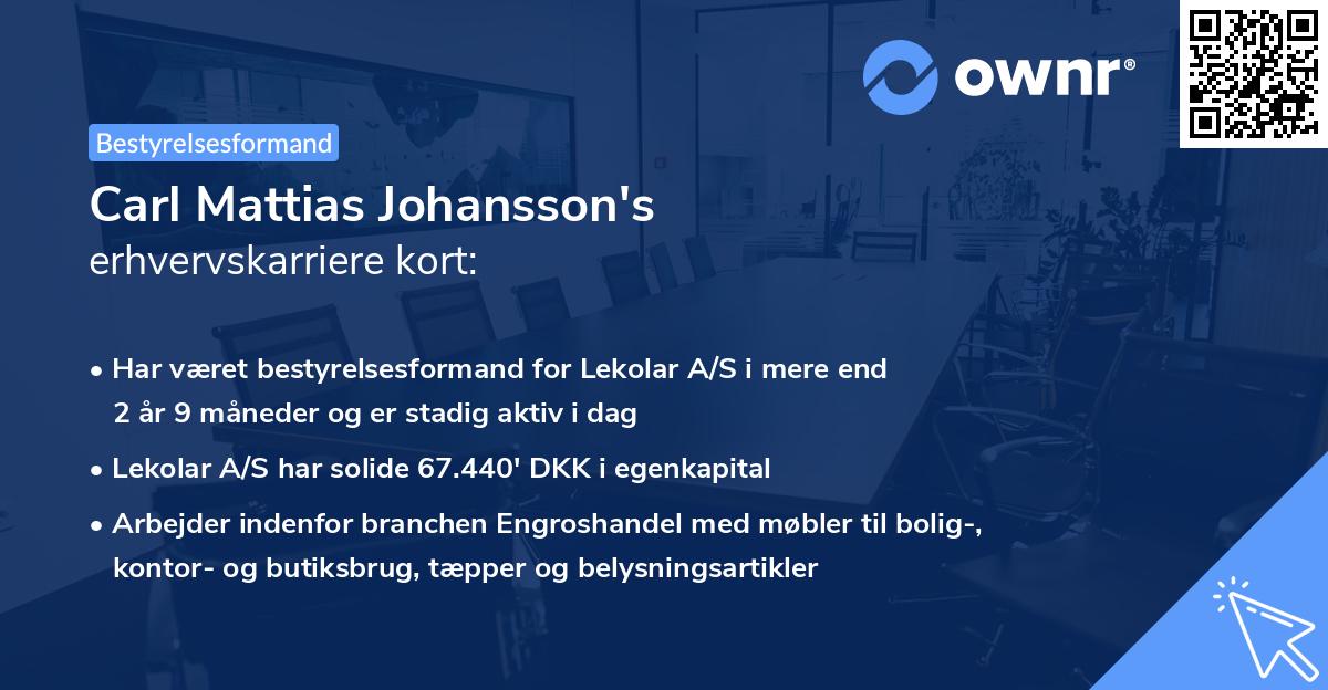 Carl Mattias Johansson's erhvervskarriere kort